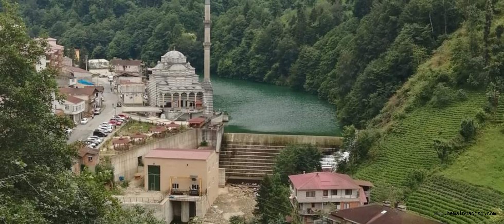 Çay Budama Paraları Ödeniyor 