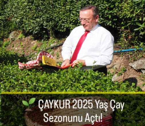ÇAYKUR 2025 YAŞ ÇAY KAMPANYASINI BAŞLATTI
