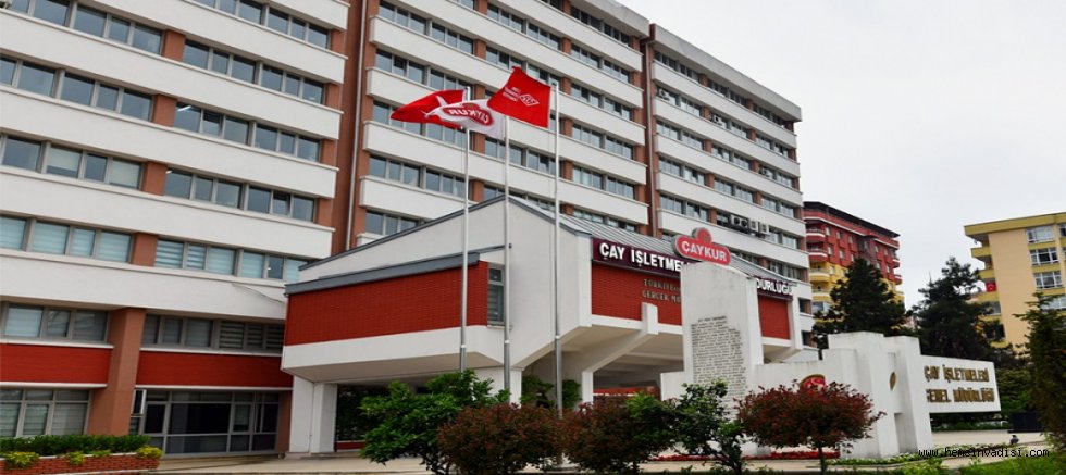 ÇAYKUR MEVSİMLİK İŞÇİ ALIYOR