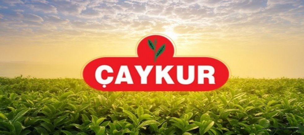 Temmuz 2024 Ayı Yaş Çay Bedelleri Ödeniyor