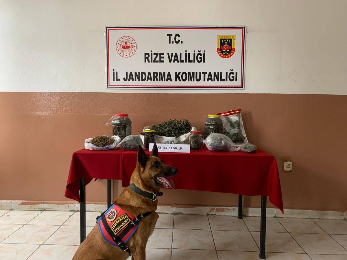 Rize'de 2 kilo 640 gram esrar ele geçirildi