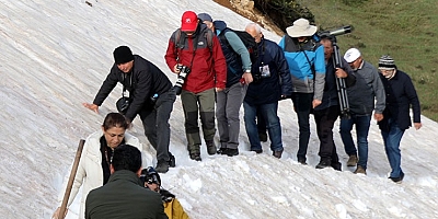 dağ horozu ikizdere rize