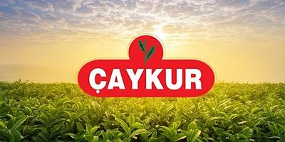 Çay Desteklemeleri Ödeniyor 