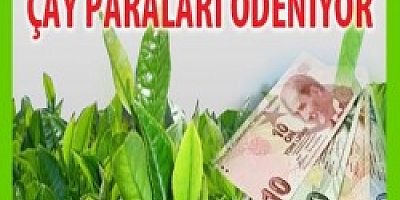 ÇAY PARALARI 29 HAZİRAN'DA ÖDENİYOR