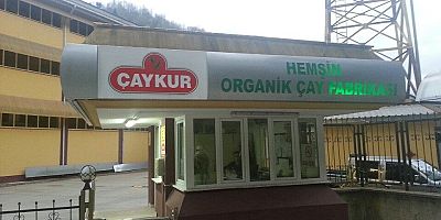 EKİM AYI YAŞ ÇAY PARALARI ÖDENİYOR